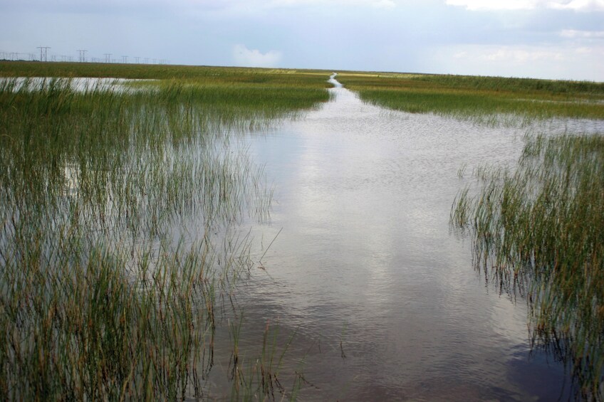 Miami Everglades Experiences with optional Bus Tour and Bayside Cruise 3