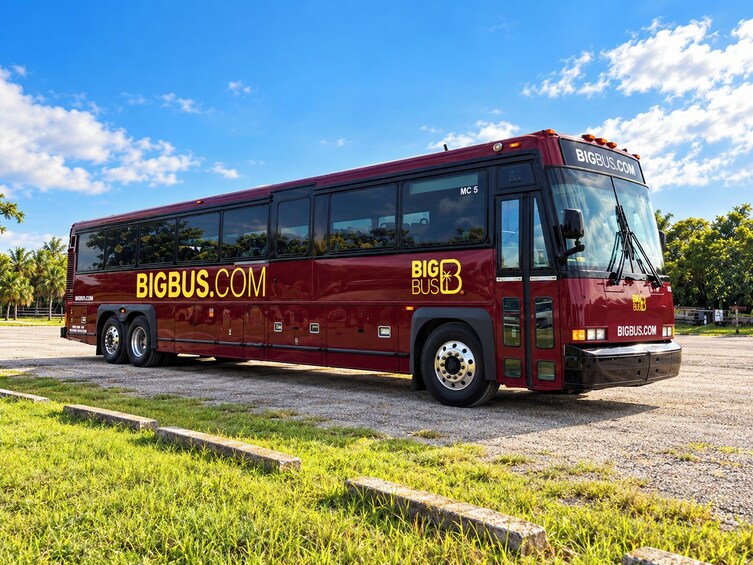Miami Everglades Experiences with optional Bus Tour and Bayside Cruise 3