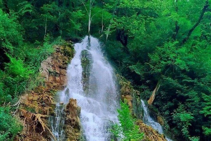 Ein Wasserfall, umgeben von dichtem Grün. 2