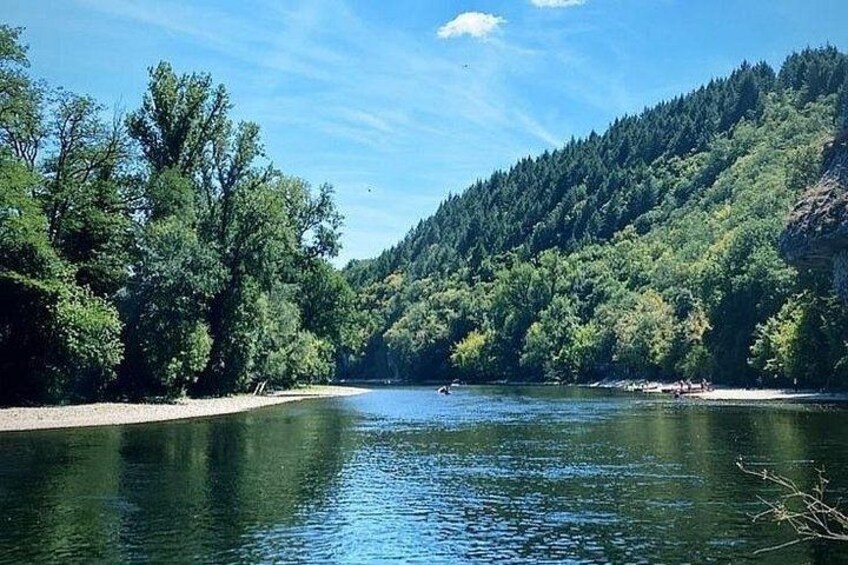 Ein ruhiger Fluss, umgeben von dichtem Wald und blauem Himmel. 5