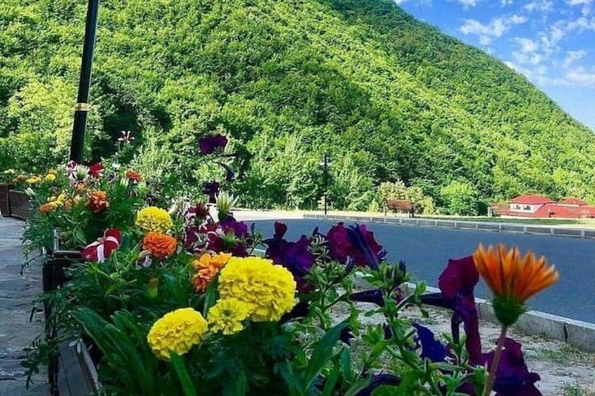 Ein Blumenbeet mit bunten Blumen vor einem Gewässer und einem grünen Hügel im Hintergrund. 1