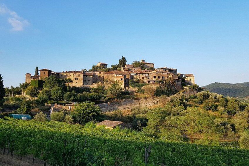 A historic town with stone buildings on a hillside, vineyards in the foreground, and a clear blue sky. 1
