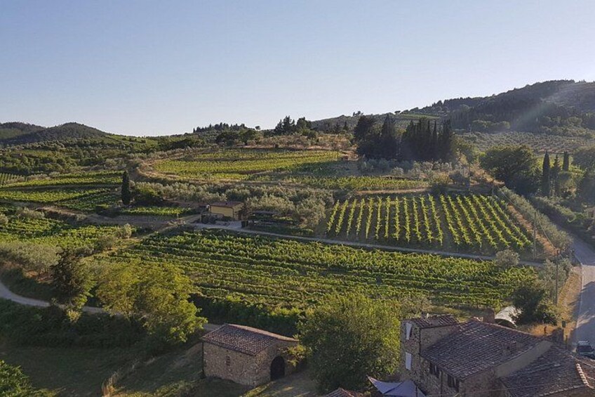 A vineyard with rows of grapevines, a stone building, and rolling hills in the background. 2