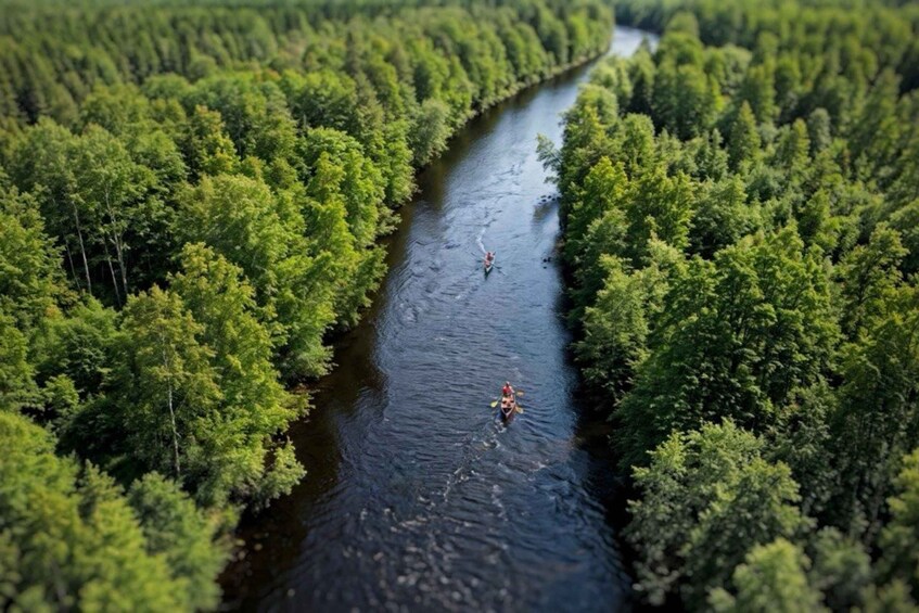 Picture 2 for Activity Rovaniemi: Canoeing Adventure on Lapland’s Lakes & BBQ 4