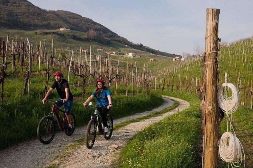 Valdobbiadene e-bike tour amongst vineyards UNESCO Prosecco Hills 5
