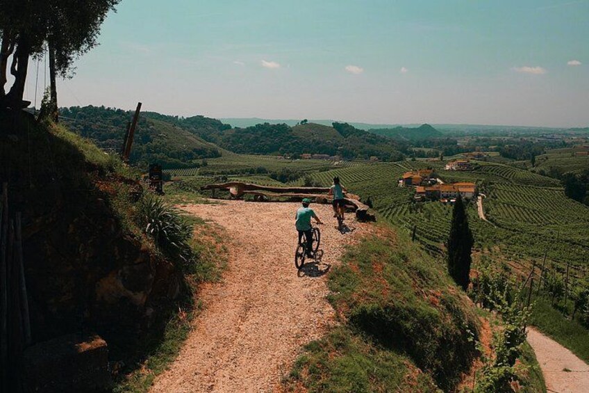 Valdobbiadene e-bike tour amongst vineyards UNESCO Prosecco Hills 3