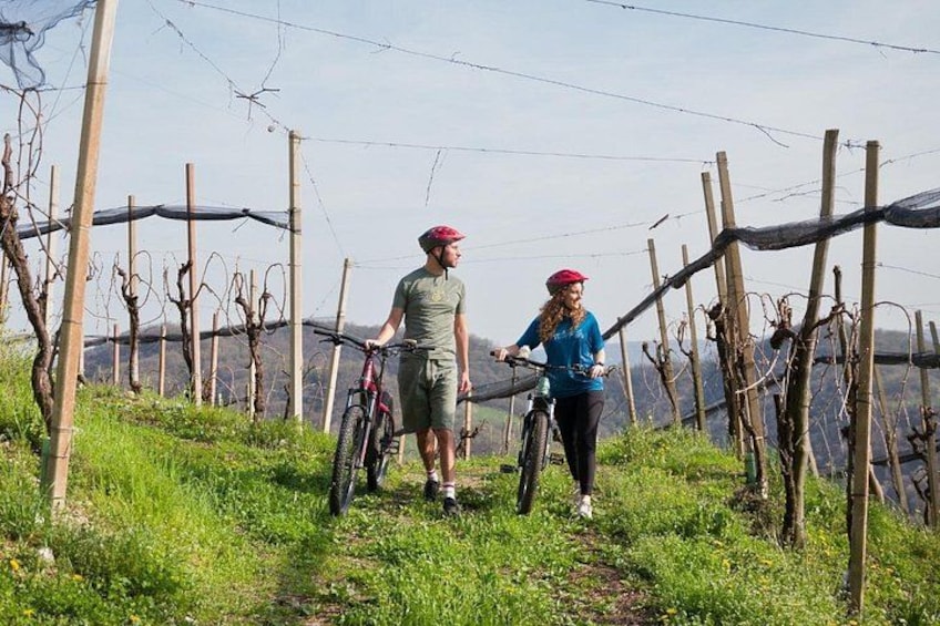 Valdobbiadene e-bike tour amongst vineyards UNESCO Prosecco Hills 4