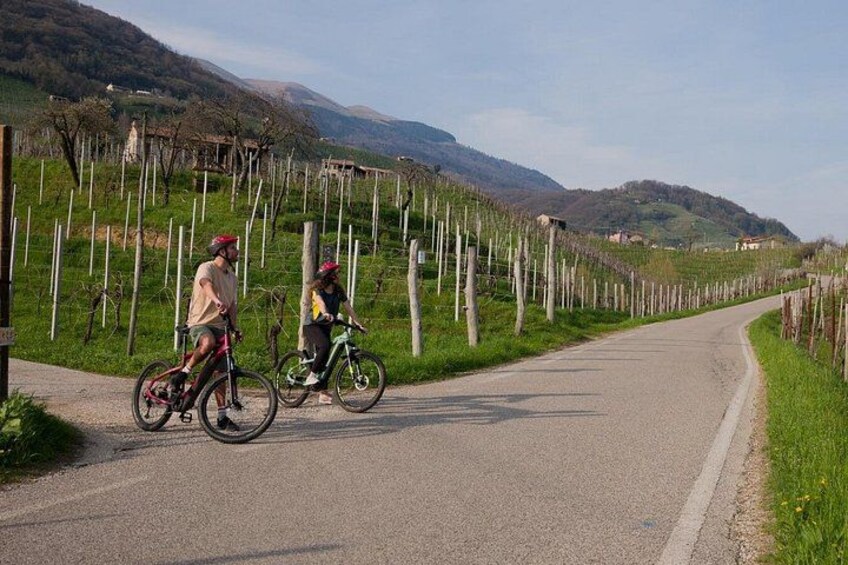 Valdobbiadene e-bike tour amongst vineyards UNESCO Prosecco Hills 2