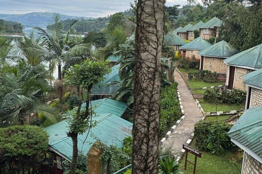A residential area with houses, a narrow road, and lush greenery including palm trees. 2
