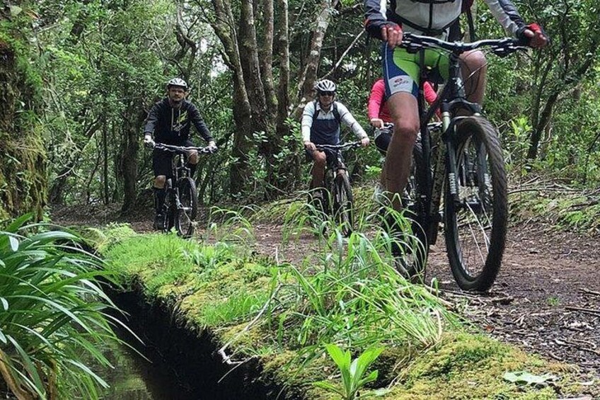 Botanical Trails of Madeira. Mountain biking Trail Experience 1