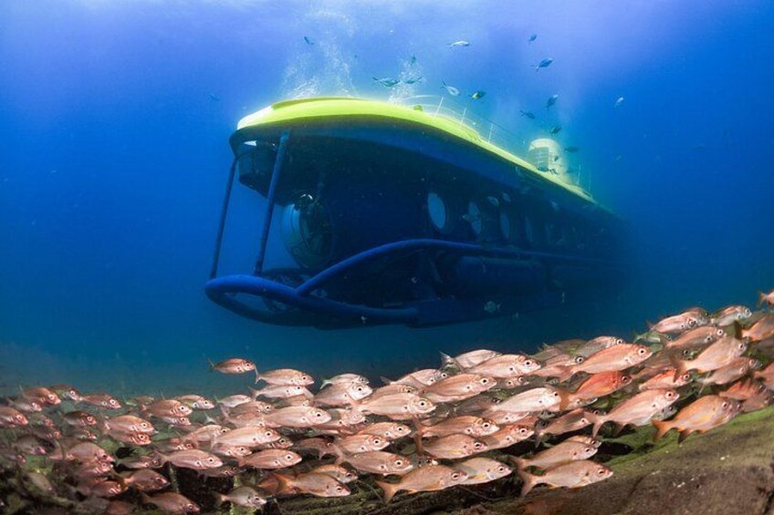 Submarine adventure in Puerto de Mogán, Gran Canaria 5