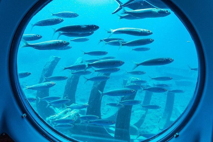 Submarine adventure in Puerto de Mogán, Gran Canaria 4