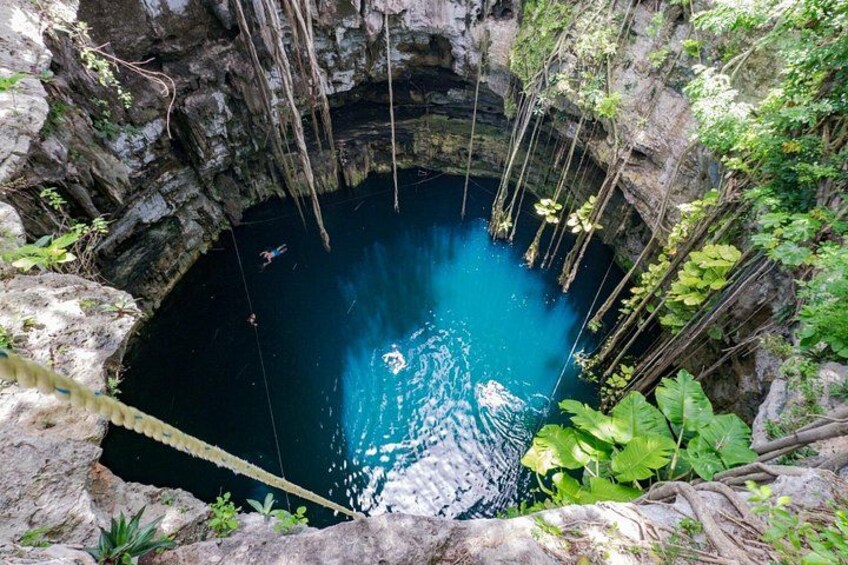 Oxman Cenote 4