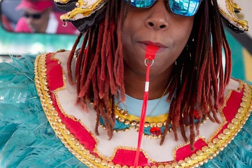 A person wearing a feathered costume with a red and gold trim. 5