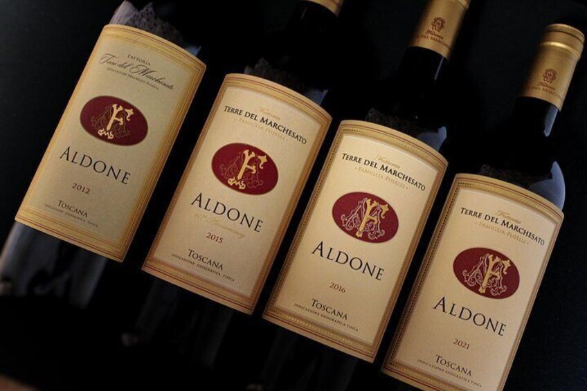 Verticale Aldone Wine Tasting and Winery Tour in Bolgheri 3