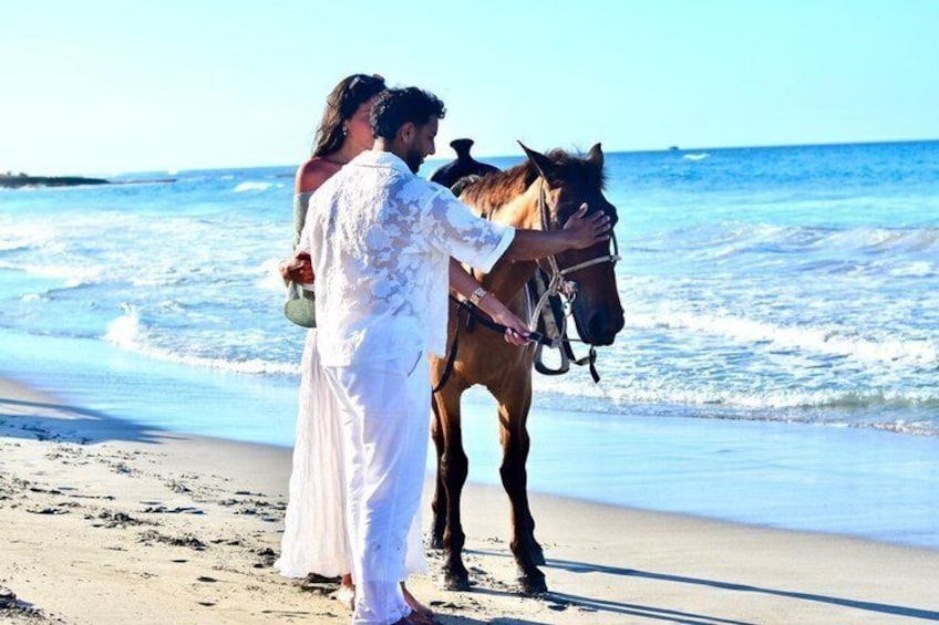 Sunset Horseback Ride at Macao Beach & Forest with Transfers 5