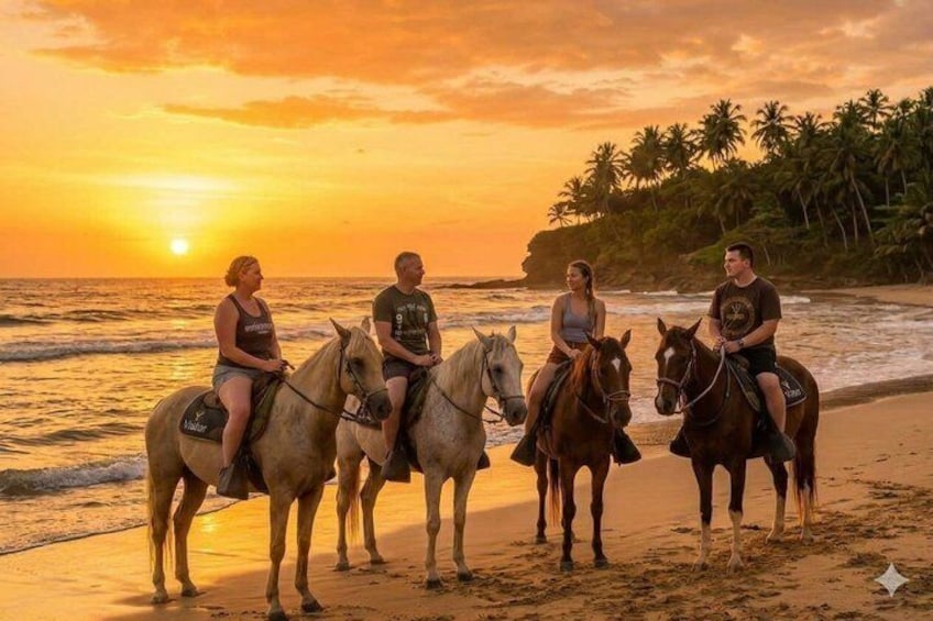 Sunset Horseback Ride at Macao Beach & Forest with Transfers 1