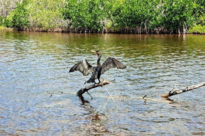 Ría Lagartos Biosphere Reserve & Las Coloradas Adventure 4