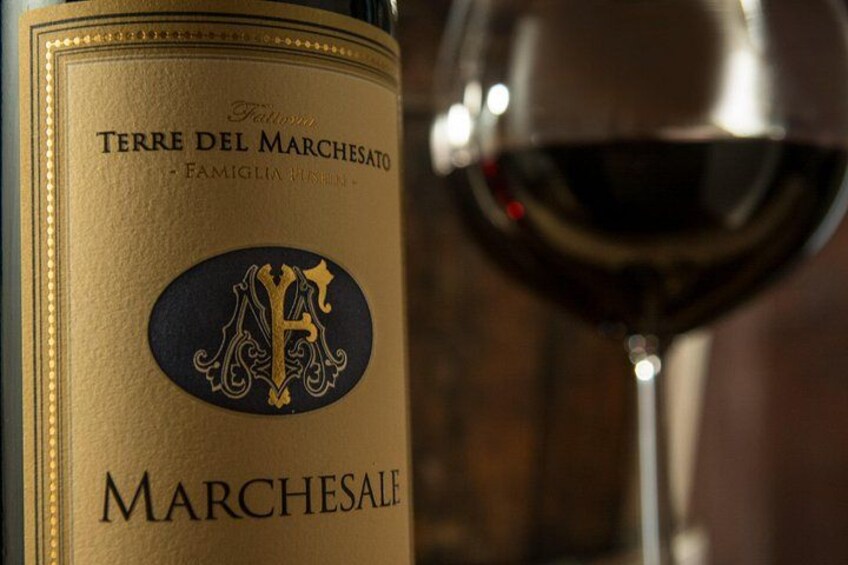 Retrospettiva di Marchesale Wine Tasting and Tour in Bolgheri 5