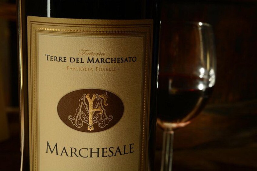 Retrospettiva di Marchesale Wine Tasting and Tour in Bolgheri 4