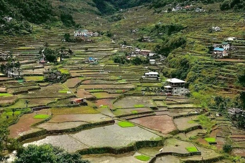 Terraced rice fields, small houses, and a hilly landscape. 1