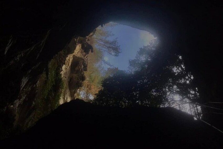 A cave opening with sunlight filtering through trees. 5