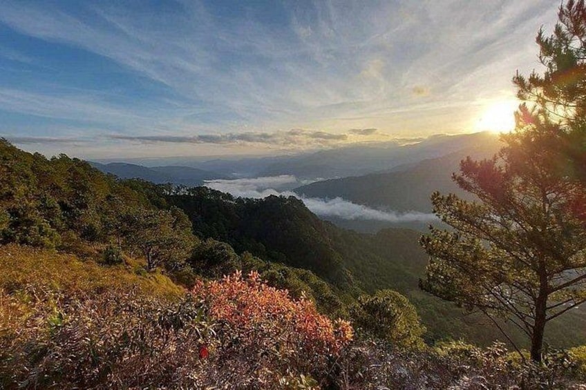 A mountainous landscape with a sunrise, forested hills, and a clear sky. 4