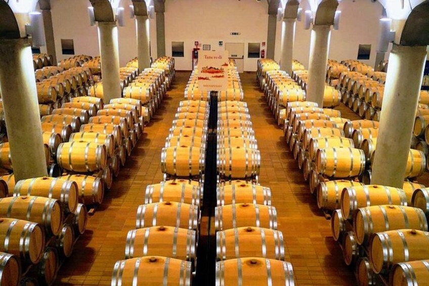 A large room with rows of wooden barrels, likely used for aging wine, with columns supporting the structure. 1