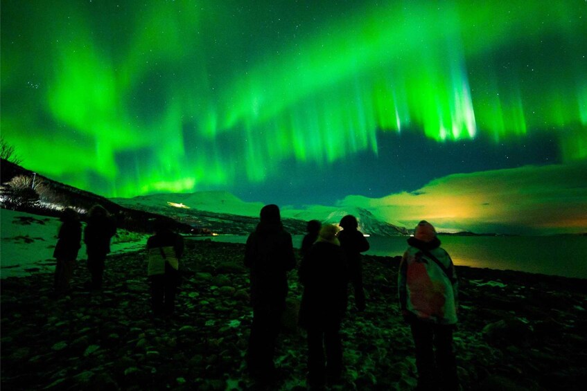 Picture 4 for Activity Tromsø: Northern Lights Chase with Expert Aurora Hunters 4