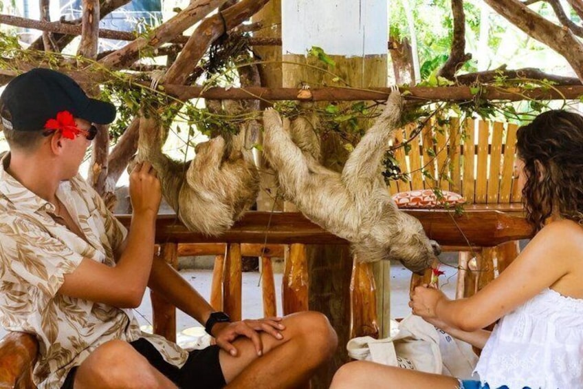 ATV, Zipline,Wildlife Encounter,Food Tasting and Beach 3