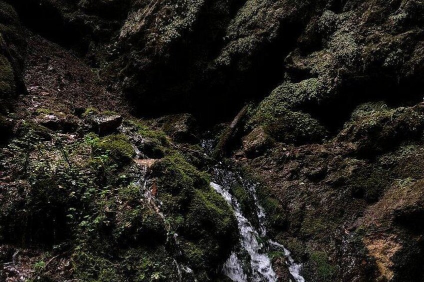 A waterfall cascading down a moss-covered rock face. 4