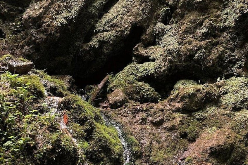 A rocky terrain with moss-covered surfaces and a narrow water channel. 5