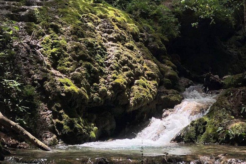 A moss-covered rock formation with a small waterfall. 2