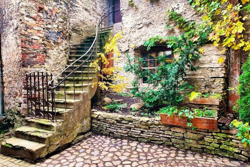 A stone staircase leading up to a wooden door, surrounded by ivy and autumn leaves. 1