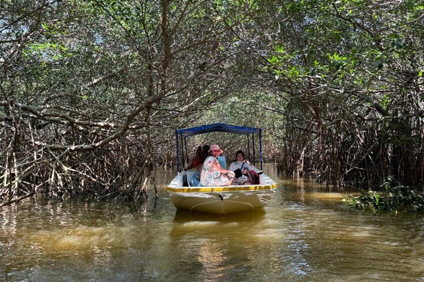 Boat tour in the mangrove reserve 1