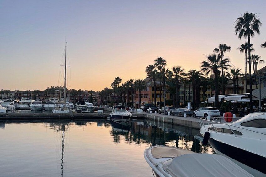 A marina with boats, palm trees, and buildings in the background. 2