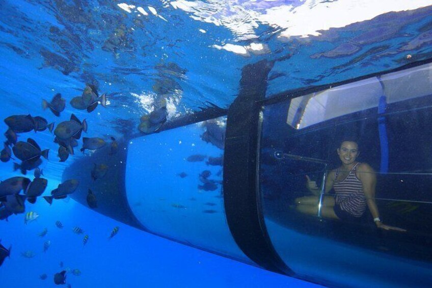 Glass Bottom Viewing Room 3