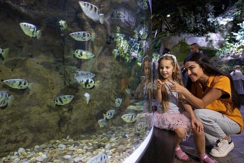 A large aquarium with various fish species, a child in a tutu, and an adult. 2