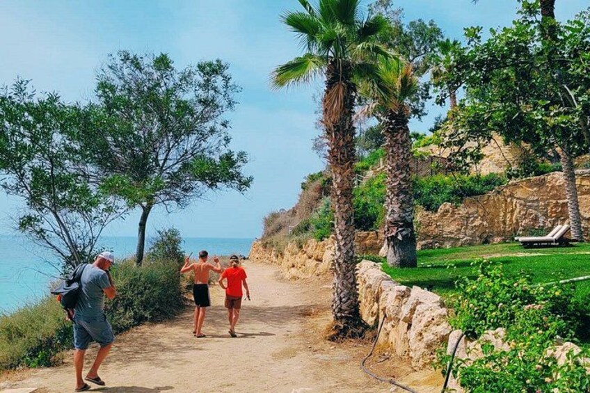 A coastal path with palm trees, a stone wall, and a beach in the background. 1