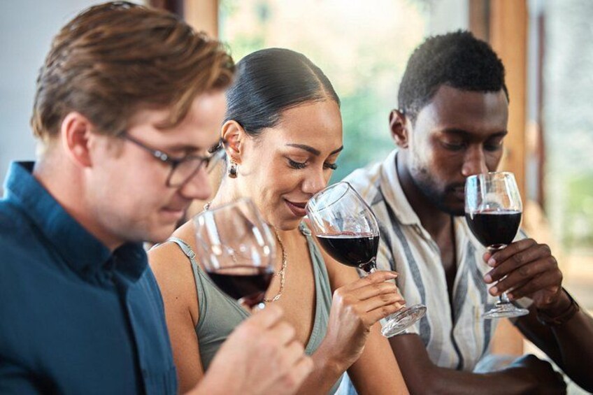 Private Wine and Cheese Tasting Session in Geneva 1