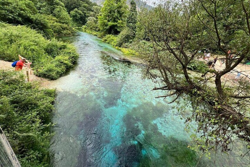 Une rivière aux eaux claires, bordée d’une végétation luxuriante. 1