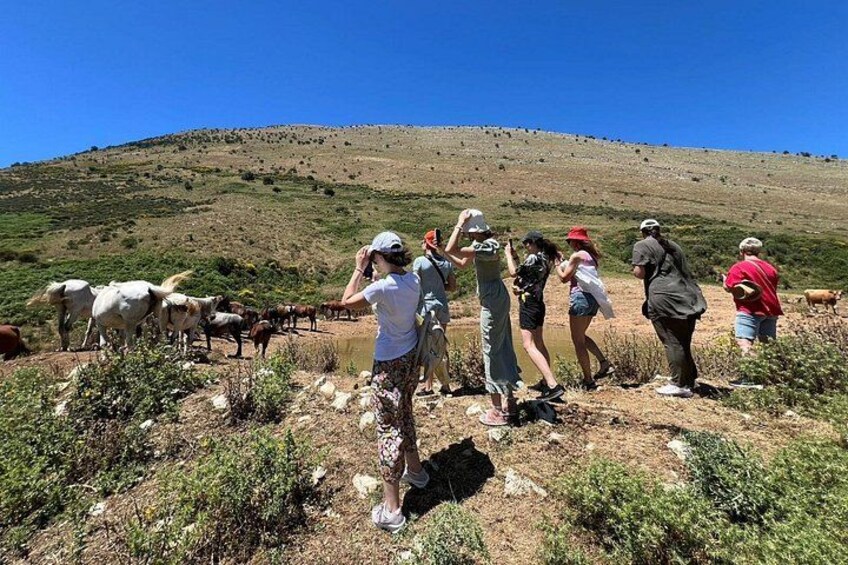 1-Day Tour in Blue Eye, Monastery, Gjirokaster and Lekursi Castle 2