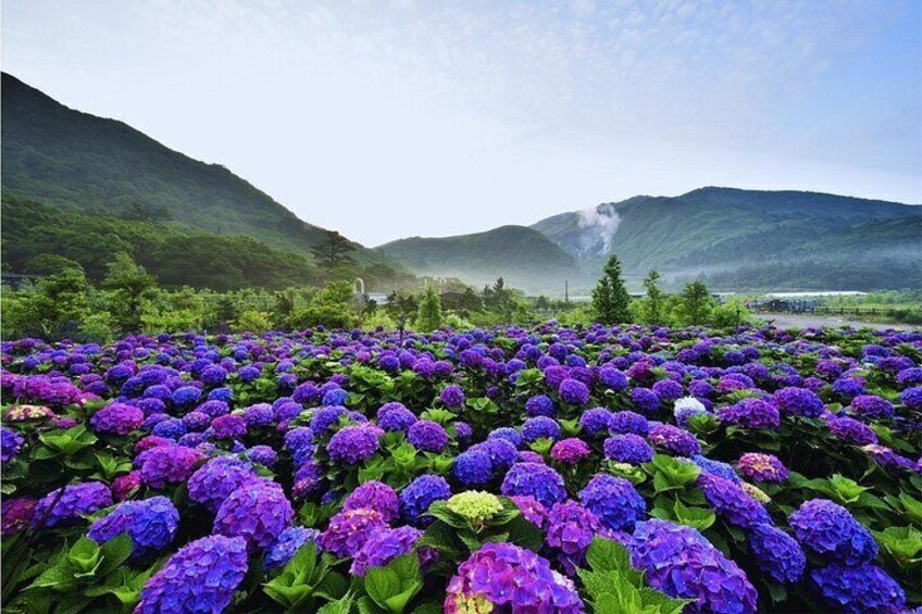 Taipei Customize Your Private Day Tour with Driver Guide 2