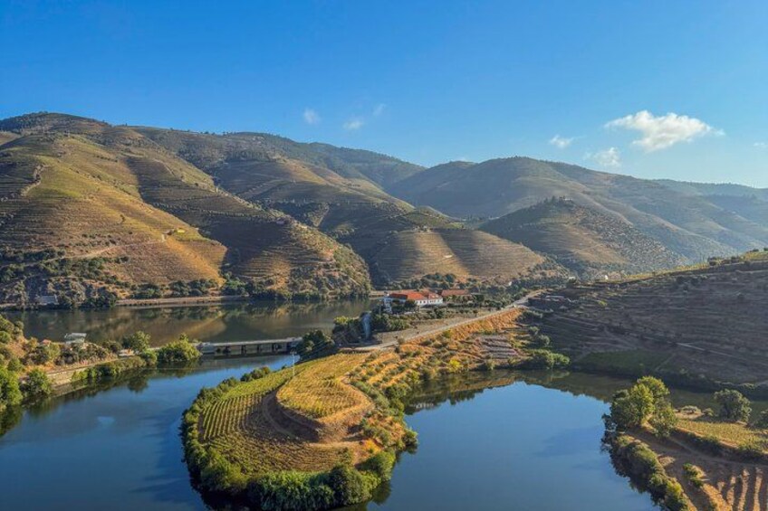 Best of the Douro in a Day: Boat, Wine and Family Lunch 1