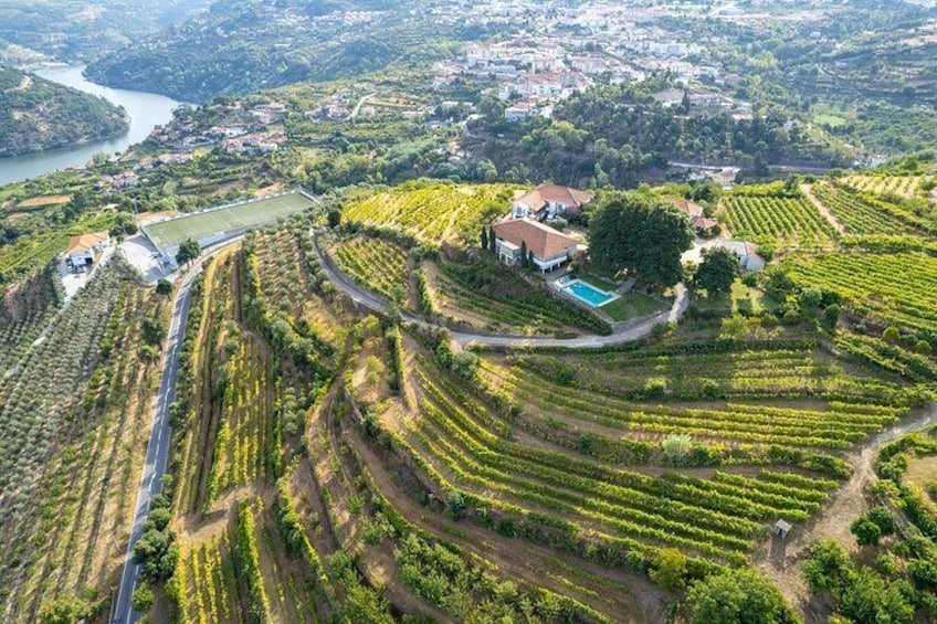 Best of the Douro in a Day: Boat, Wine and Family Lunch 2