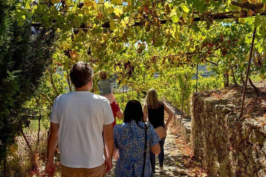 Best of the Douro in a Day: Boat, Wine and Family Lunch 2