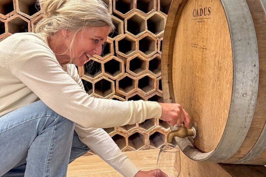 Best of the Douro in a Day: Boat, Wine and Family Lunch 3