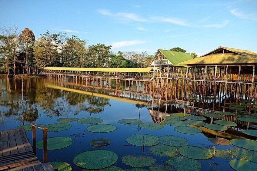 Un muelle de madera se extiende sobre un lago tranquilo con nenúfares, rodeado de árboles y una estructura cubierta. 5