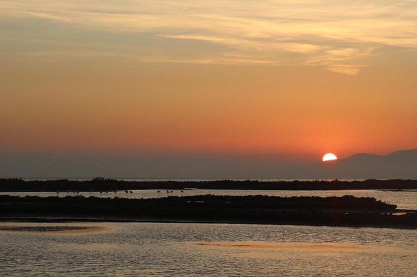 Sunset among flamingos in the Ebro Delta 5