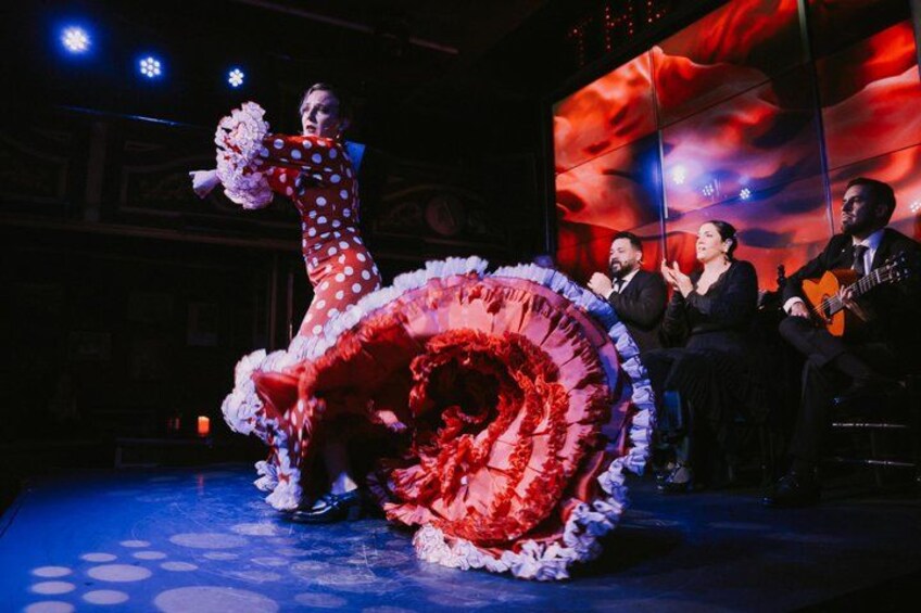 Teatro Flamenco Málaga: Live the Flamenco Experience 5